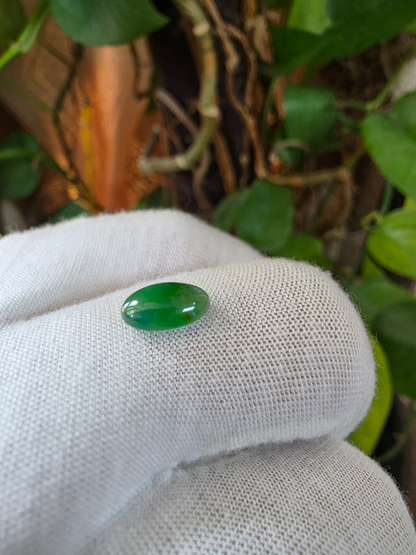 Certified MADE IN JAPAN 1.775 cts. Icy Jungle Green Burmese A-Jadeite Oval Cabochon Loose Stone LS94