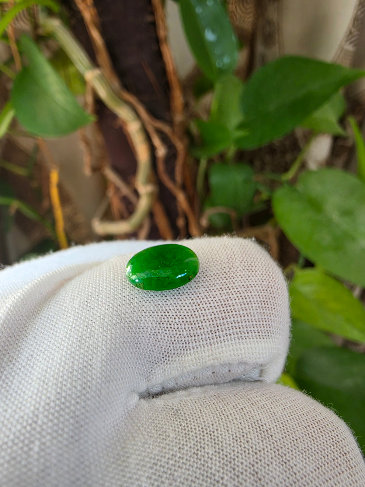 Certified MADE IN JAPAN 2.754 cts. Bright Vivid Green Burmese A-Jadeite Oval Cabochon Loose Stone LS96
