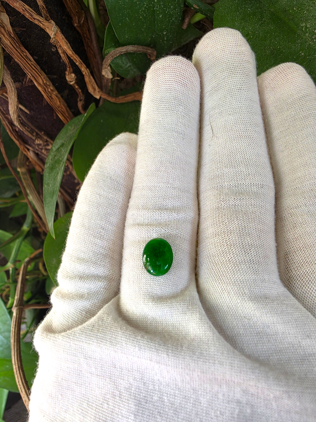 Certified MADE IN JAPAN 2.754 cts. Bright Vivid Green Burmese A-Jadeite Oval Cabochon Loose Stone LS96