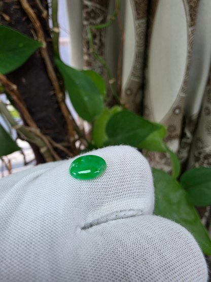 Certified MADE IN JAPAN 1.853 cts. Bright Vivid Spring Green Burmese A-Jadeite Oval Cabochon Loose Stone LS98