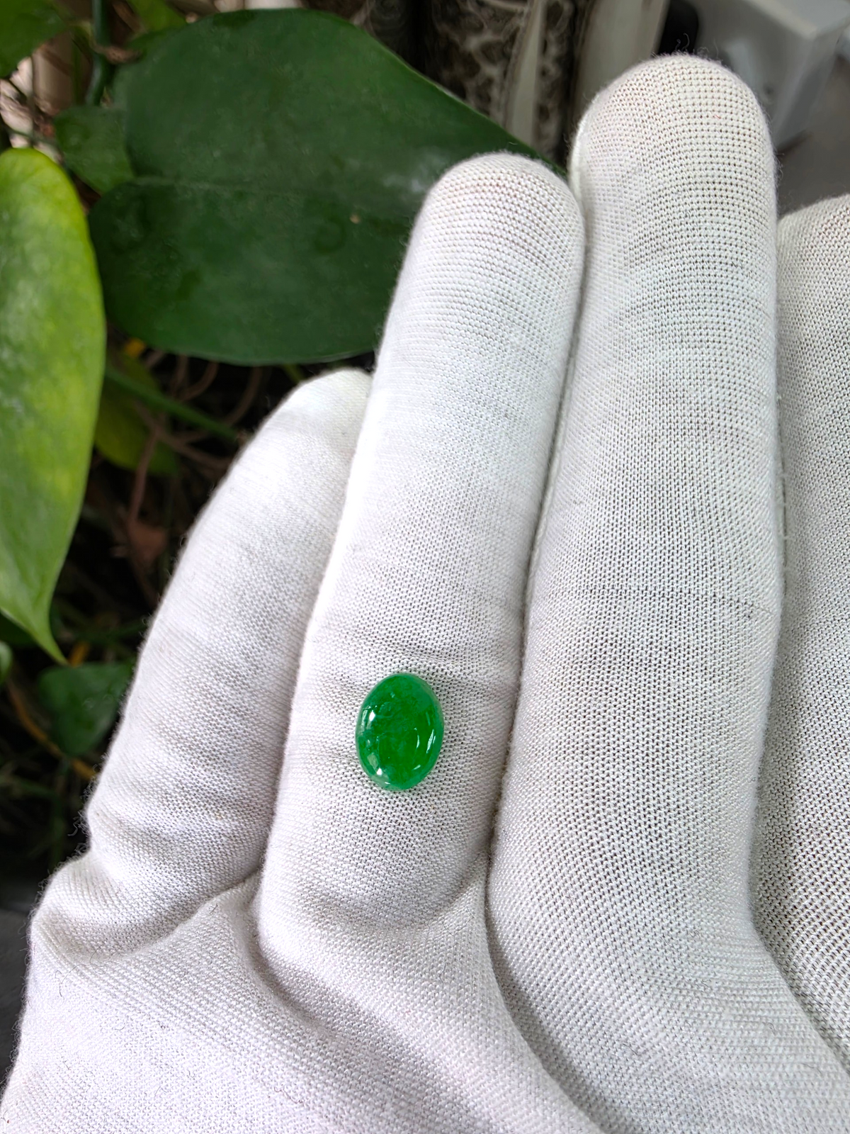 Certified MADE IN JAPAN 1.853 cts. Bright Vivid Spring Green Burmese A-Jadeite Oval Cabochon Loose Stone LS98