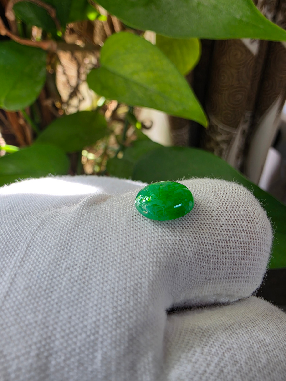 Certified MADE IN JAPAN 2.533 cts. Bright Glacial Green Burmese A-Jadeite Oval Cabochon Loose Stone LS99
