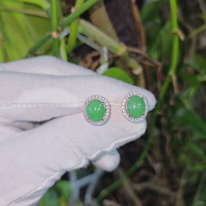Eternal Sunshine Green Burmese A-Jade Stud Earrings with Diamond Halo and 18K White Gold - Certified - V4