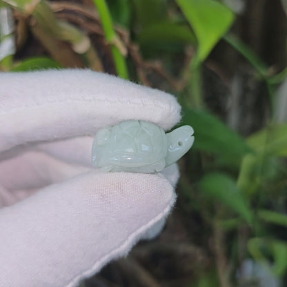 Energetic Turtle White-Green Burmese A-Jadeite Charm Pendant