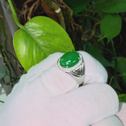 Chiba MADE IN JAPAN 7.42 cts. Certified Vivid Apple Green Burmese A-Jadeite Ring (with 18K White Gold and White Diamonds) Size US9.5  - R26