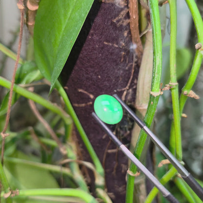 Certified MADE IN JAPAN 7.04 cts. Light Green Burmese A-Jadeite Oval Cabochon Loose Stone LS36