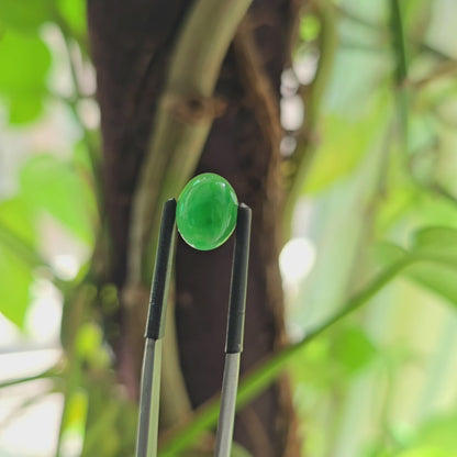 Certified MADE IN JAPAN 3.22 cts. Bright Green Burmese A-Jadeite Oval Cabochon Loose Stone LS17