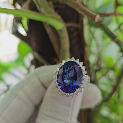 Avellino (13.50 cts.) Tanzanite and Natural Diamonds Ring (with 18K White Gold) -R3955