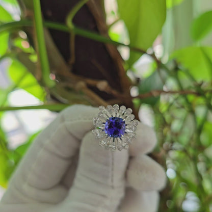 Teramo (2.96 cts.) Tanzanite and Natural Diamonds Ring (with 18K White Gold - R4039A