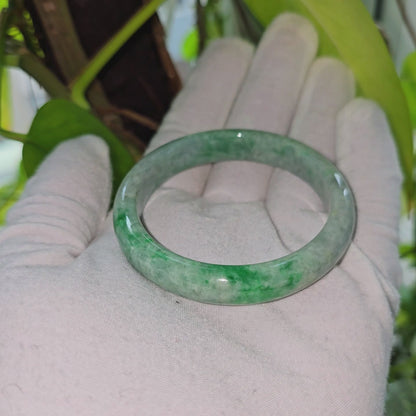 Earth's (MADE IN JAPAN) Burmese Green A-Jade Round Bangle Bracelet - Certified 08834