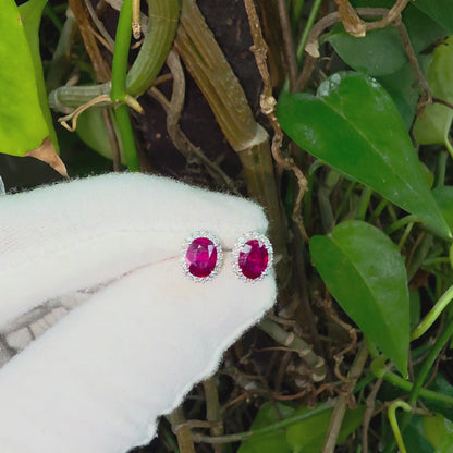 Eternal Sunshine 2.50 cts. Deep Vivid Red Ruby Stud Earrings (with Natural White Diamonds Halo and 18K White Gold) - V6