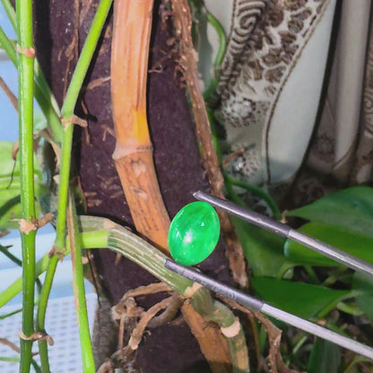 Certified MADE IN JAPAN 3.622 cts. Bright Intense Green Burmese A-Jadeite Oval Cabochon Loose Stone LS66