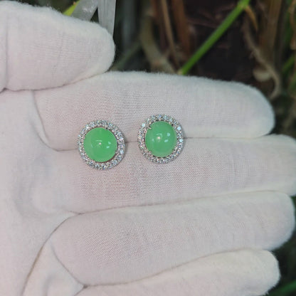 Eternal Sunshine Apple Green Burmese A-Jade Stud Earrings with Diamond Halo and 18K White Gold - Certified - V2