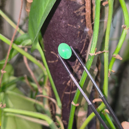 Certified MADE IN JAPAN 4.69 cts. Light Green Burmese A-Jadeite Oval Cabochon Loose Stone LS35