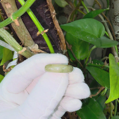 Burmese Jungle Green A-Jade Infinity Band Ring