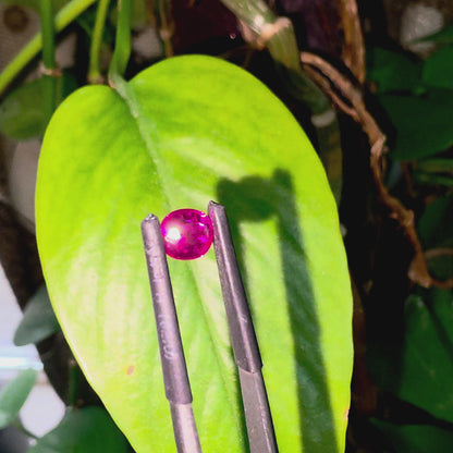 Certified 1.03 cts. No Heat Purplish Red Ruby (Mozambique) Oval Shaped Loose Stone LS70