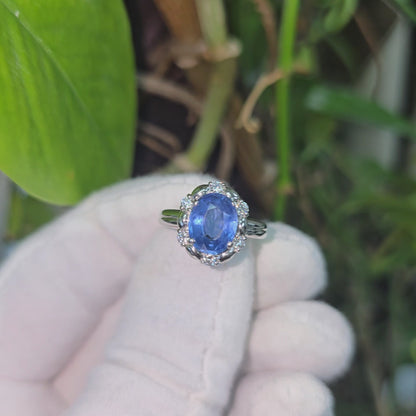 Toyohashi MADE IN JAPAN Certified Oval Shaped 3.17 cts. Cornflower Blue Sapphire Ring with Platinum 900 and White Diamonds Size US5 - R10
