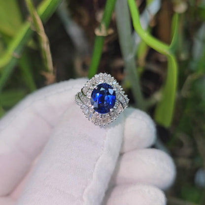 Okazaki MADE IN JAPAN Certified Oval Shaped 2.72 cts. Natural Royal Blue Sapphire Ring with Platinum 900 and White Diamonds Size US5  - R11