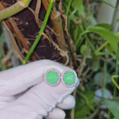 Eternal Sunshine Apple Green Burmese A-Jade Stud Earrings with Diamond Halo and 18K White Gold - Certified - V2