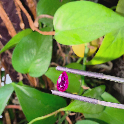 GIA Certified 1.00 cts. No Heat Vivid Red Ruby (Mozambique) Pear Shaped Loose Stone LS80