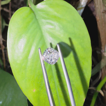 Natural 2.01 cts. D VS2 Ex Ex N Cushion Shaped Diamond Loose Stone - GIA Certified - LS59