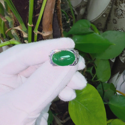 Chita MADE IN JAPAN 8.80 cts. Certified Intense Green Burmese A-Jadeite Men's Ring (18K White Gold and White Diamonds) Size US9.5  - R25