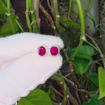 Eternal Sunshine 2.50 cts. Deep Vivid Red Ruby Stud Earrings (with Natural White Diamonds Halo and 18K White Gold) - V5