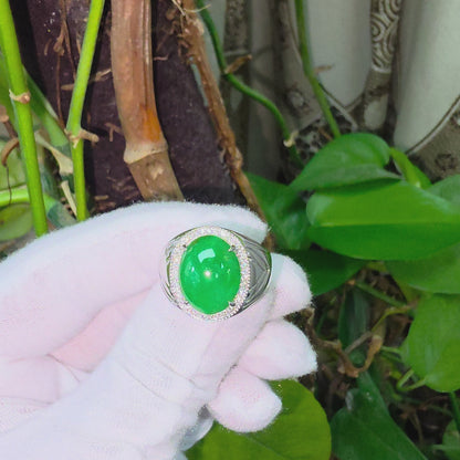 Chiba MADE IN JAPAN 7.42 cts. Certified Vivid Apple Green Burmese A-Jadeite Ring (with 18K White Gold and White Diamonds) Size US9.5  - R26