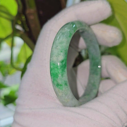Earth's (MADE IN JAPAN) Burmese Green A-Jade Round Bangle Bracelet - Certified 08834