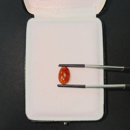 Certified MADE IN JAPAN 3.784 cts. Intense Crimson Red Burmese A-Jadeite Oval Cabochon Loose Stone LS42