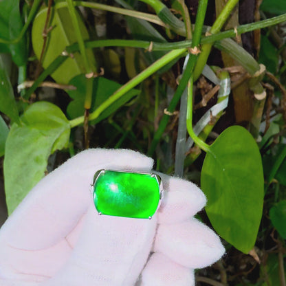 Odate MADE IN JAPAN Certified Vivid-Imperial Intense Green Burmese A-Jadeite Men's Ring (with 18K White Gold and Diamonds) Size US 9.5 - R24