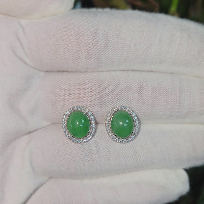 Eternal Sunshine Green Burmese A-Jade Stud Earrings with Diamond Halo and 18K White Gold - Certified - V4